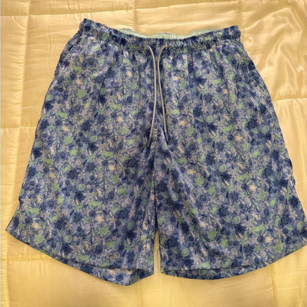 Peter Millar, swim trunks, boys size, large blue, and green